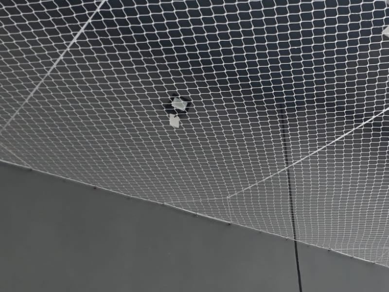 Proteja animais com rede residencial em Suzano