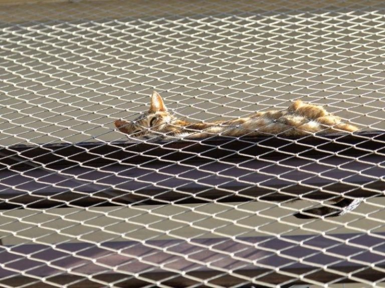 Telas de proteção para pets em Guarulhos