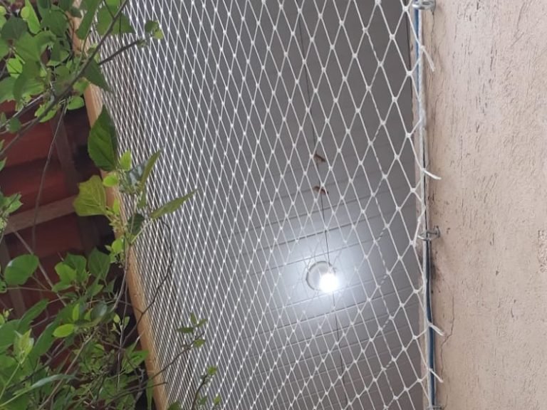 Redes de proteção anti-pombos em Guarulhos